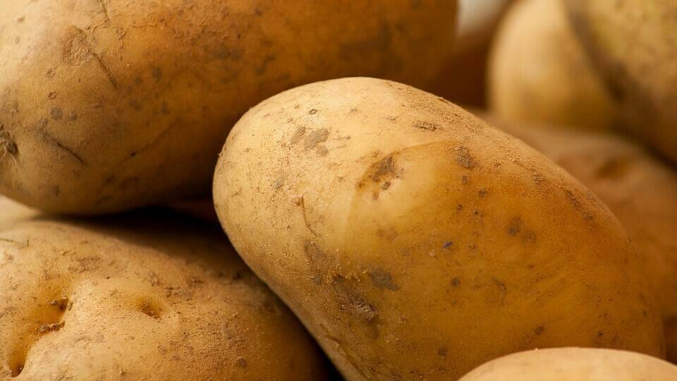 vegetables-1707600_960_720|15033_modal